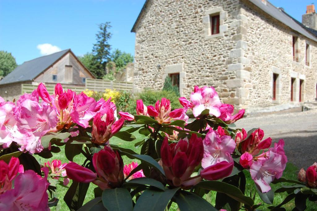 Maison D'Hotes & Gites Domaine De La Garaye 디난 외부 사진